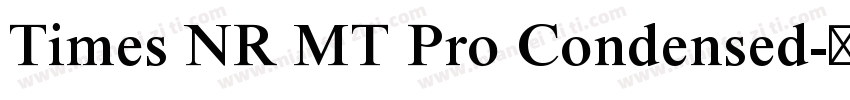 Times NR MT Pro Condensed字体转换